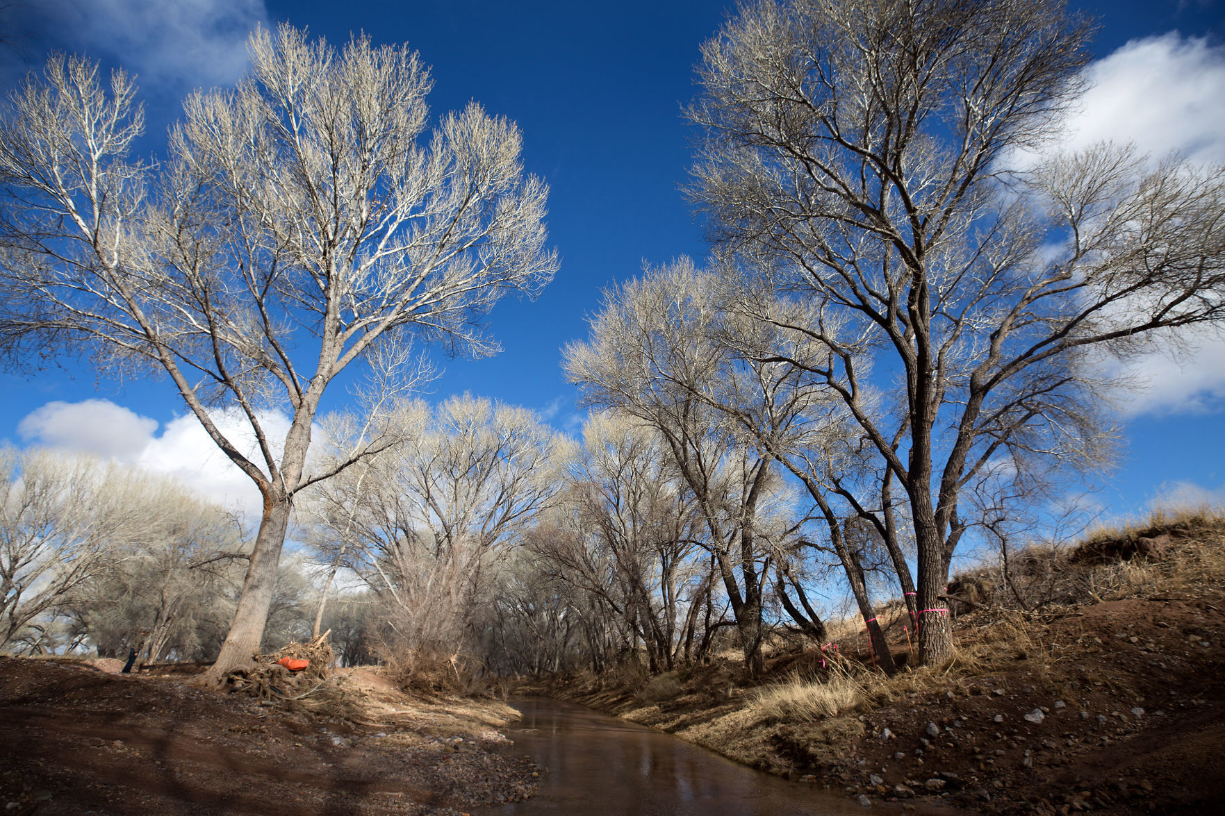 San Pedro River at U.S.-Mexico border